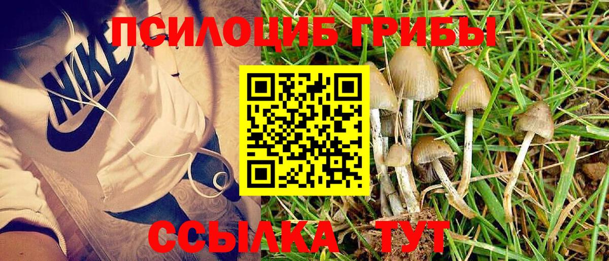 Губкинский  Галлюциногенные грибы мицелий  Вход с VPN 