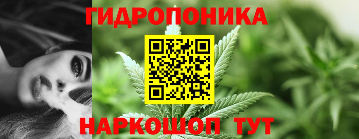 Конопля план Губкинский